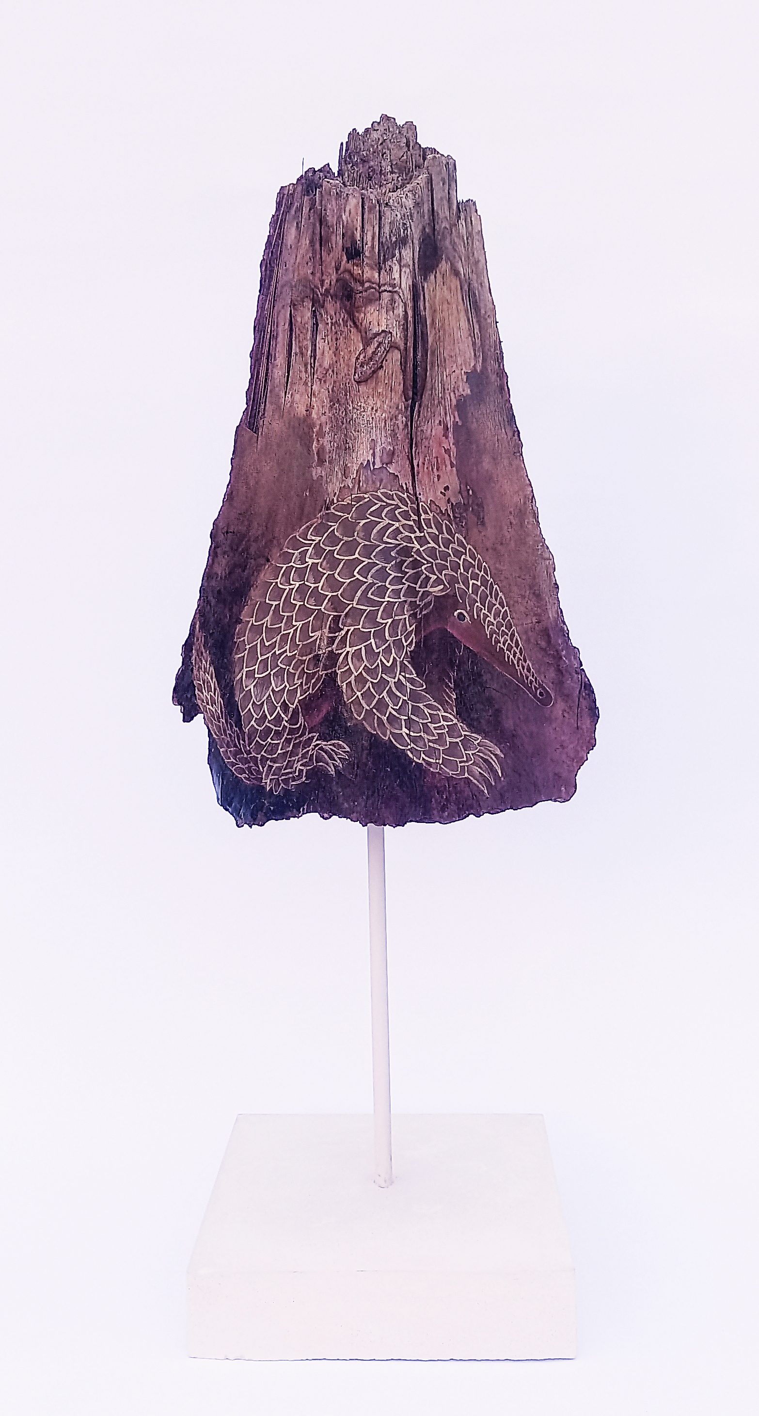 La  Frágil Coraza 